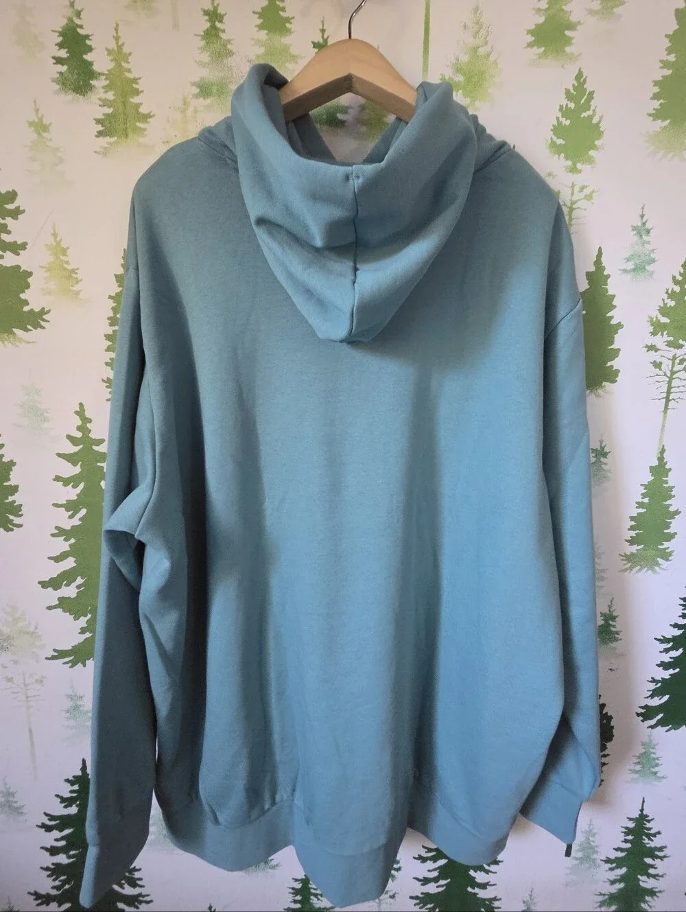 Adidas Teal Pullover Hoodie with Retro Logo
